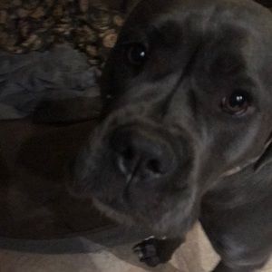 Meet your Posher, Brendan